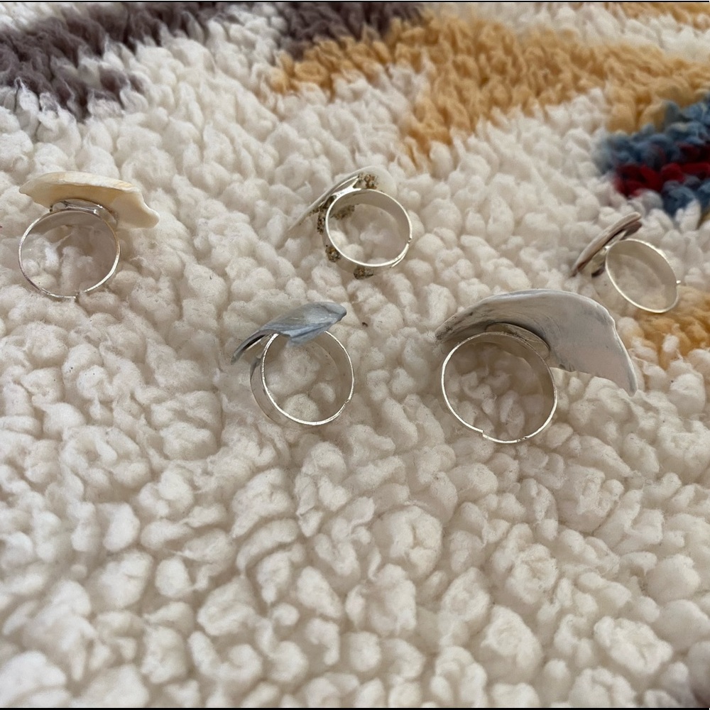 Seashell 🐚 Rings - Picture 2 of 3
